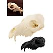 3D-printed fox skull for self-painting (16cm)